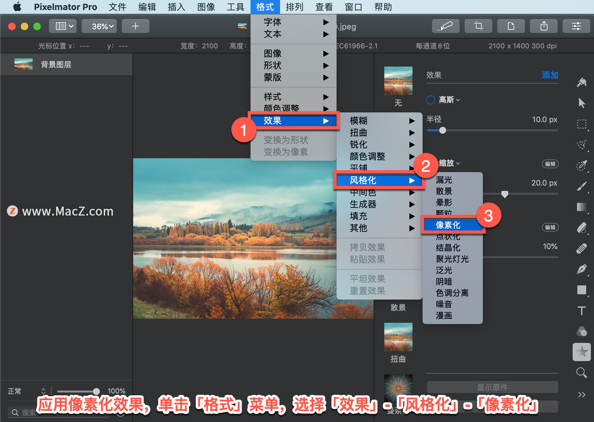 Pixelmator Pro?̡̳136 Pixelmator Pro?Ӧ?ػЧ