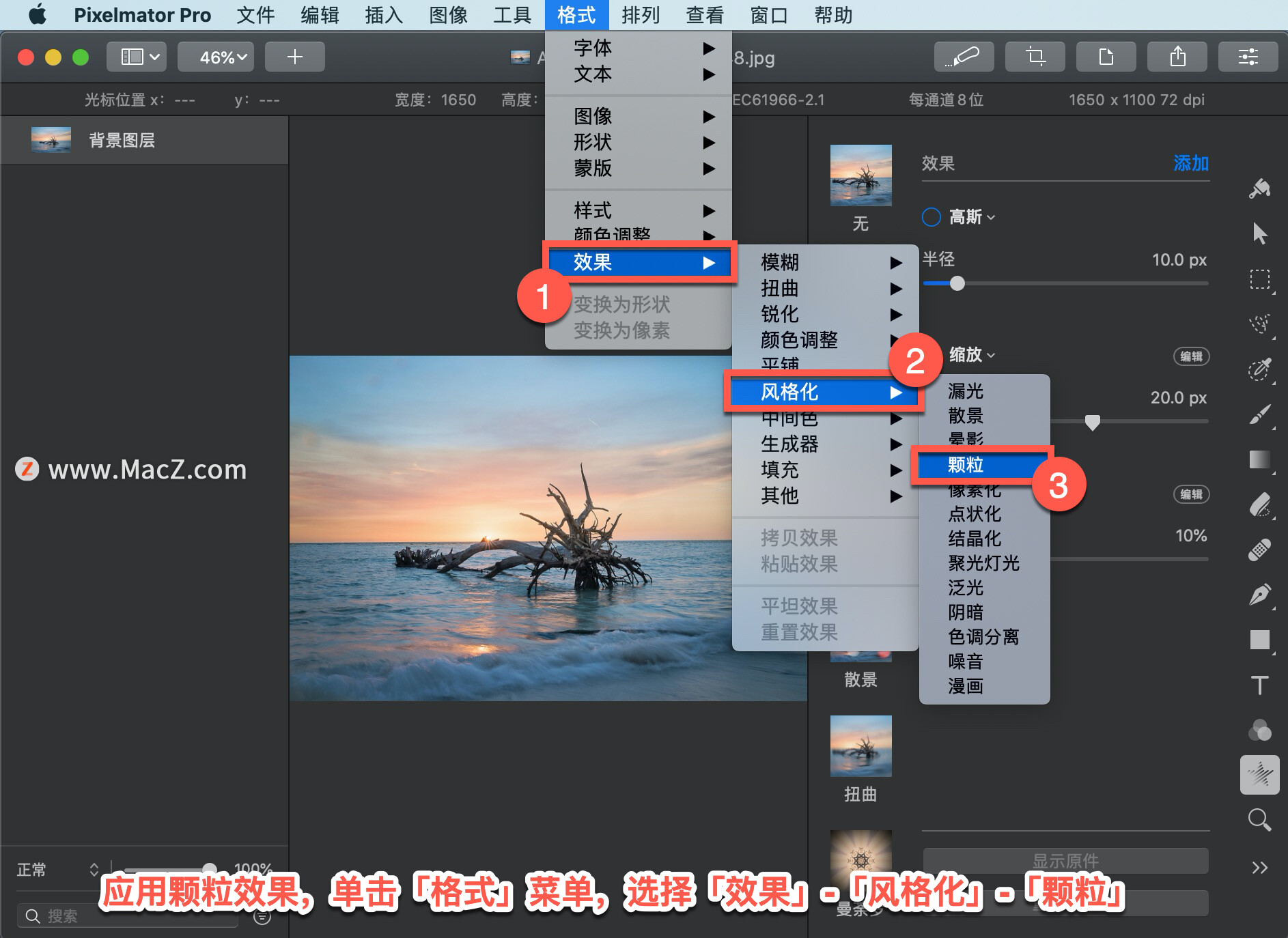 Pixelmator Pro?̡̳135 Pixelmator Pro?Ӧ?Ч