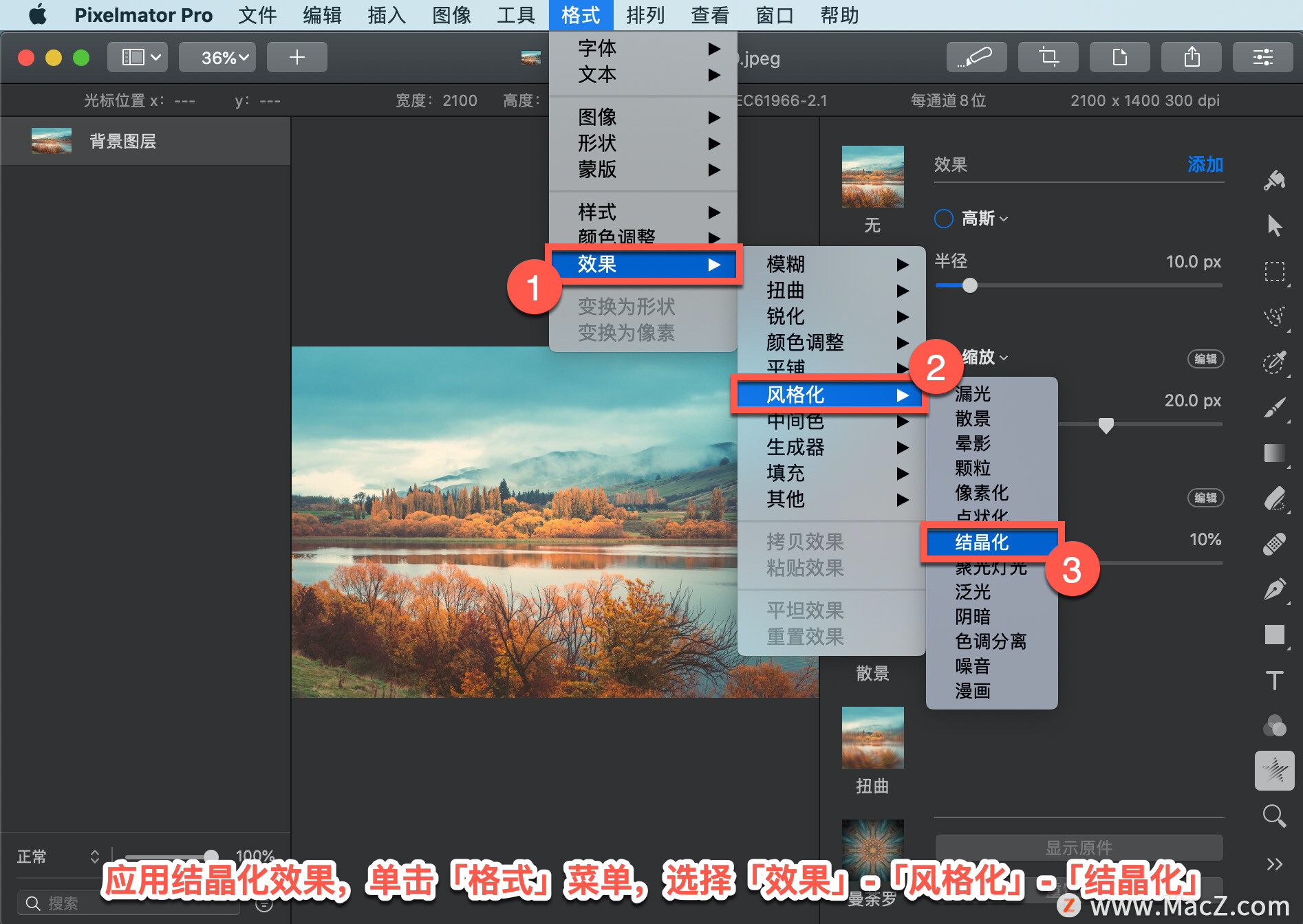 Pixelmator Pro?̡̳138 Pixelmator Pro?Ӧ?ᾧЧ