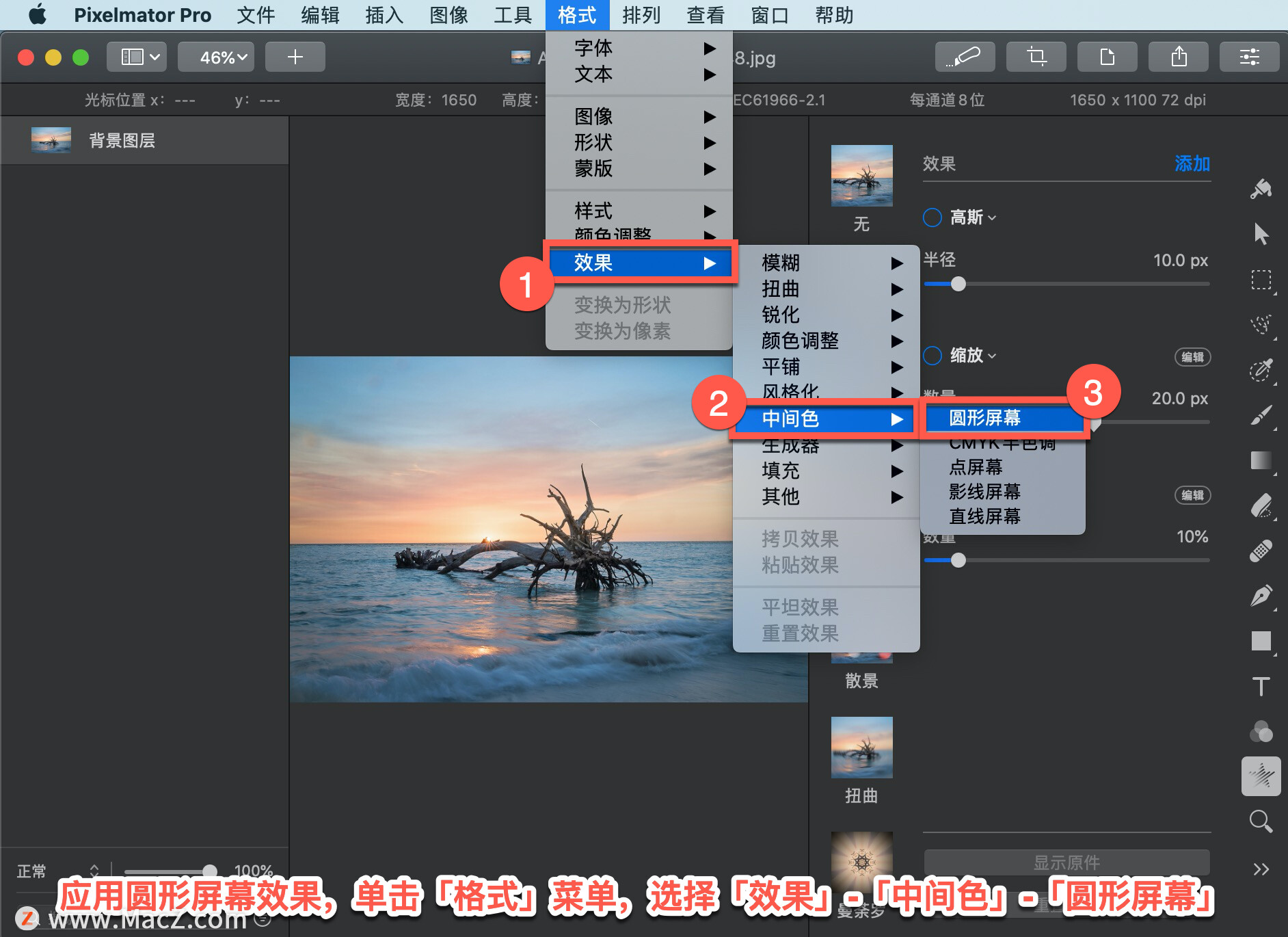 Pixelmator Pro?̡̳142 Pixelmator Pro?Ӧ?ԲĻЧ