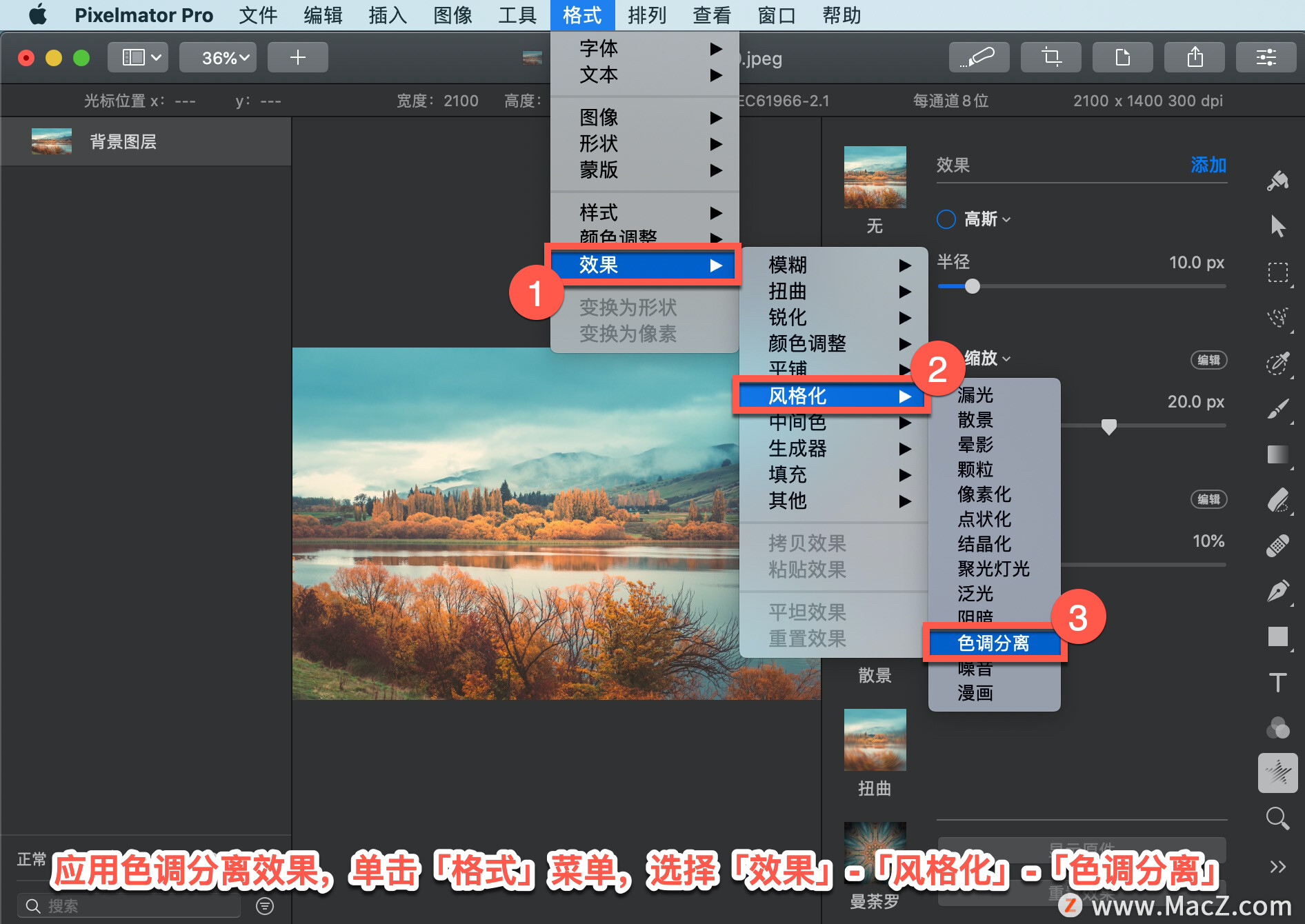 Pixelmator Pro?̡̳140 Pixelmator Pro?Ӧ?ɫЧ