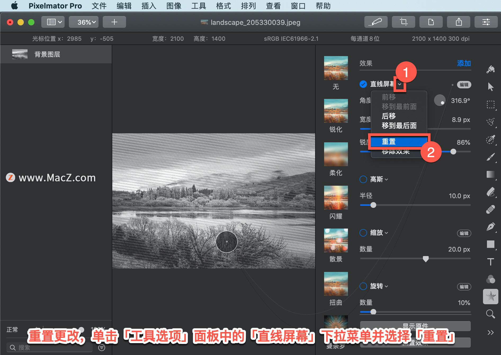 Pixelmator Pro?̡̳146 Pixelmator Pro?ӦֱĻЧ