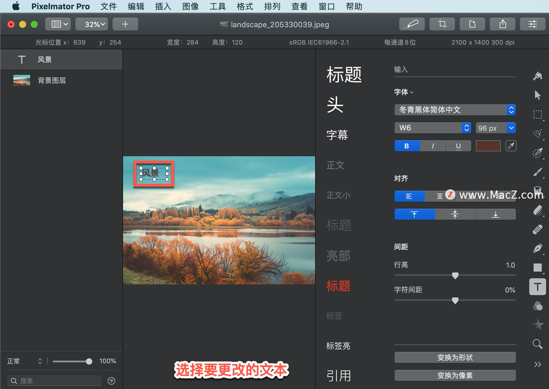 Pixelmator Pro?̡̳167 Pixelmator Pro?еַࣿ