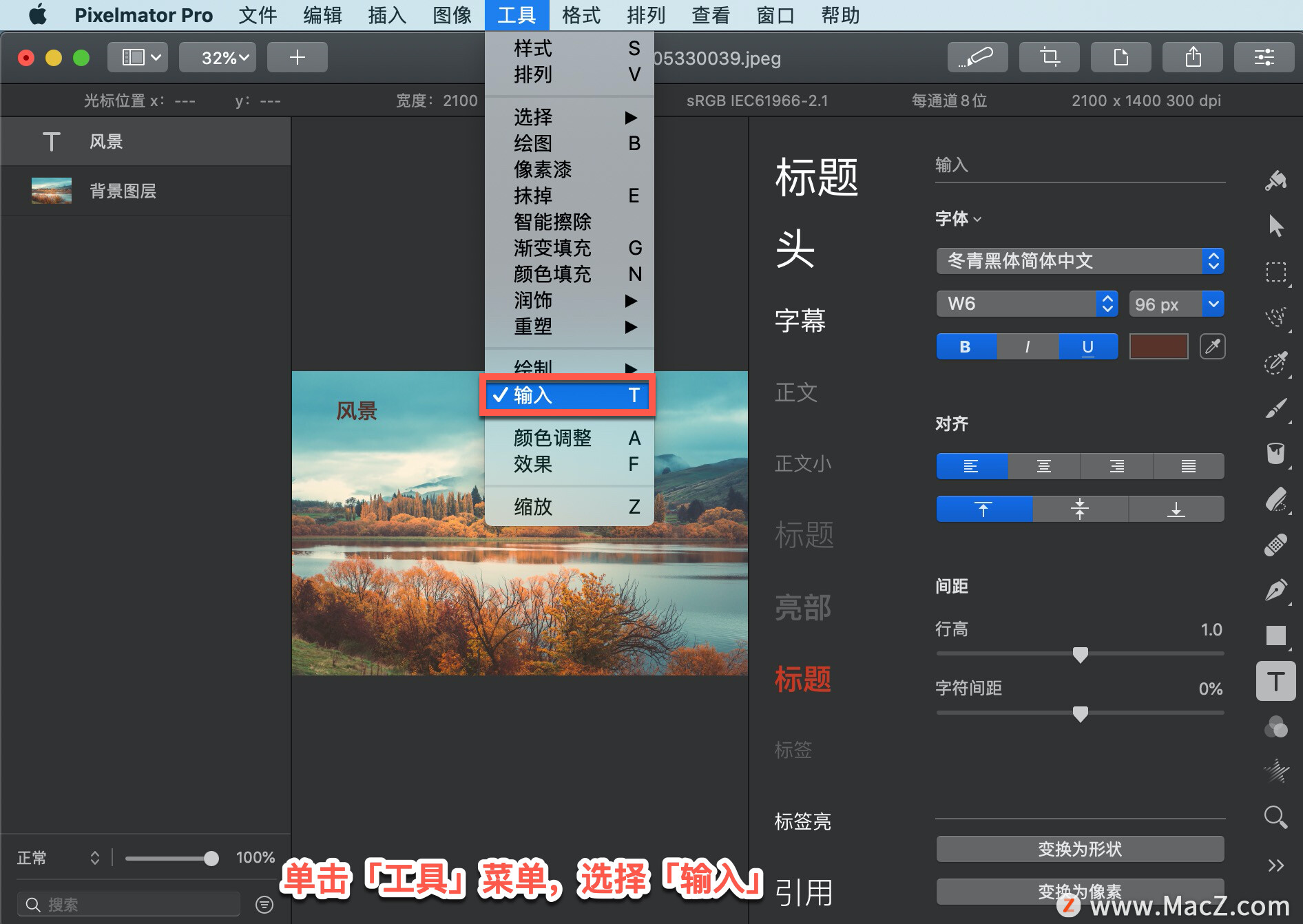 Pixelmator Pro?̡̳167 Pixelmator Pro?еַࣿ