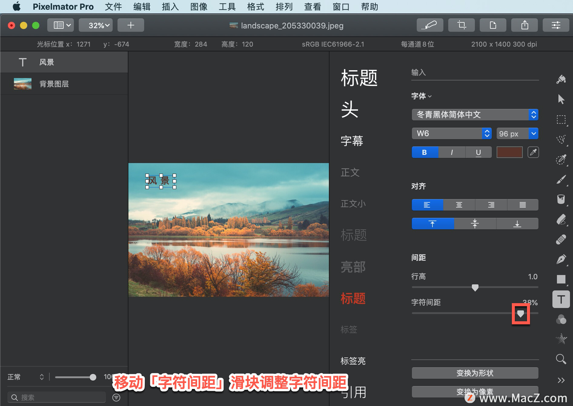 Pixelmator Pro?̡̳167 Pixelmator Pro?еַࣿ