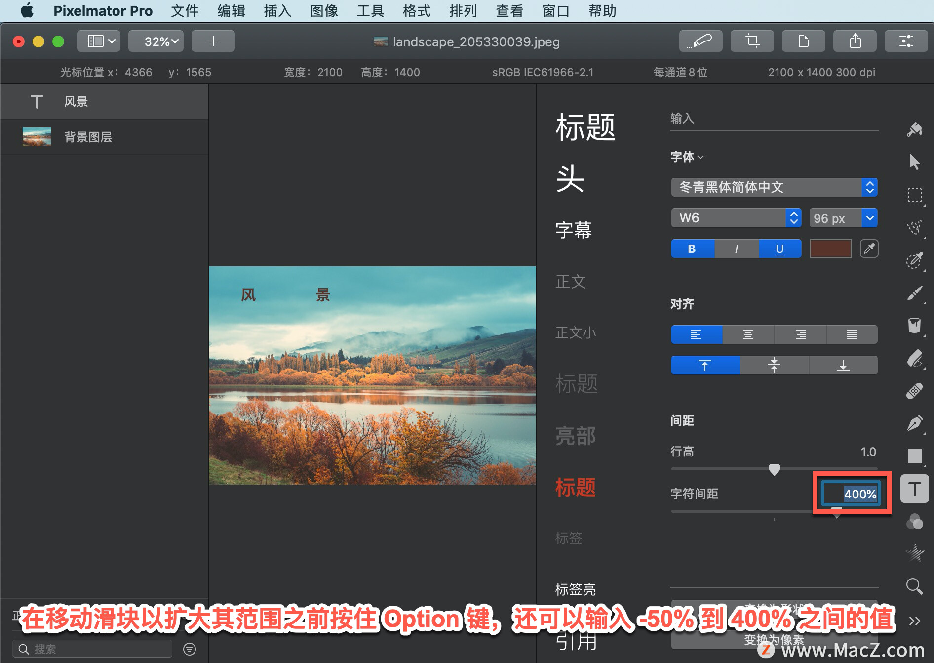 Pixelmator Pro?̡̳167 Pixelmator Pro?еַࣿ