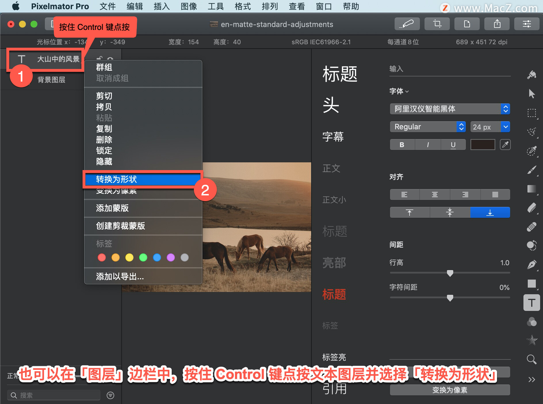 Pixelmator Pro?̡̳171 Pixelmator Pro?нı任Ϊ״ͼ㣿