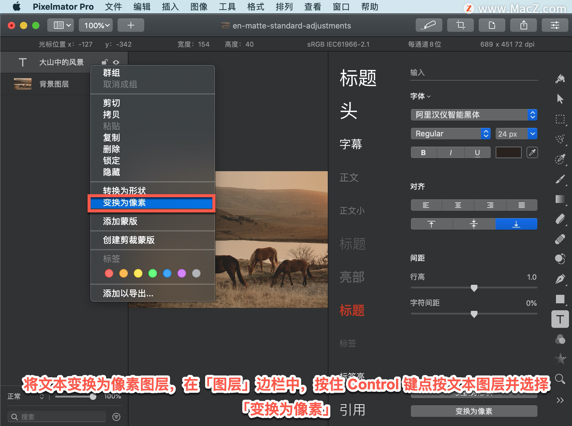 Pixelmator Pro?̡̳171 Pixelmator Pro?нı任Ϊ״ͼ㣿