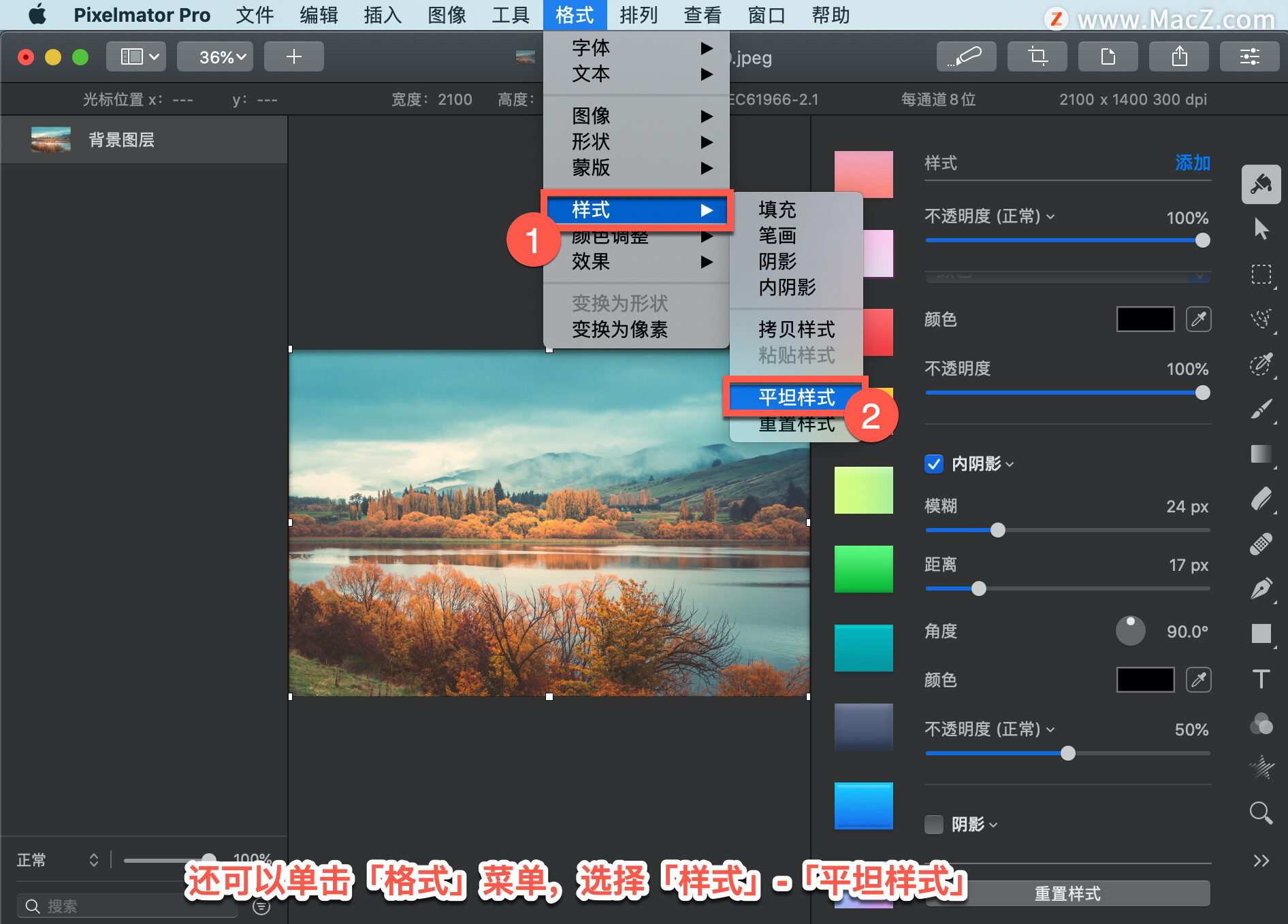 Pixelmator Pro?̡̳178 Pixelmator Pro?Ӧƽ̹ʽ