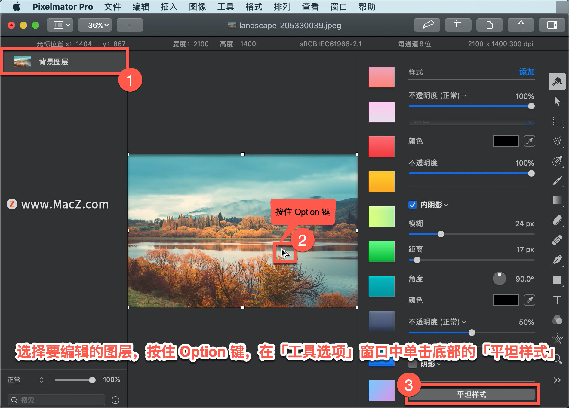 Pixelmator Pro?̡̳178 Pixelmator Pro?Ӧƽ̹ʽ