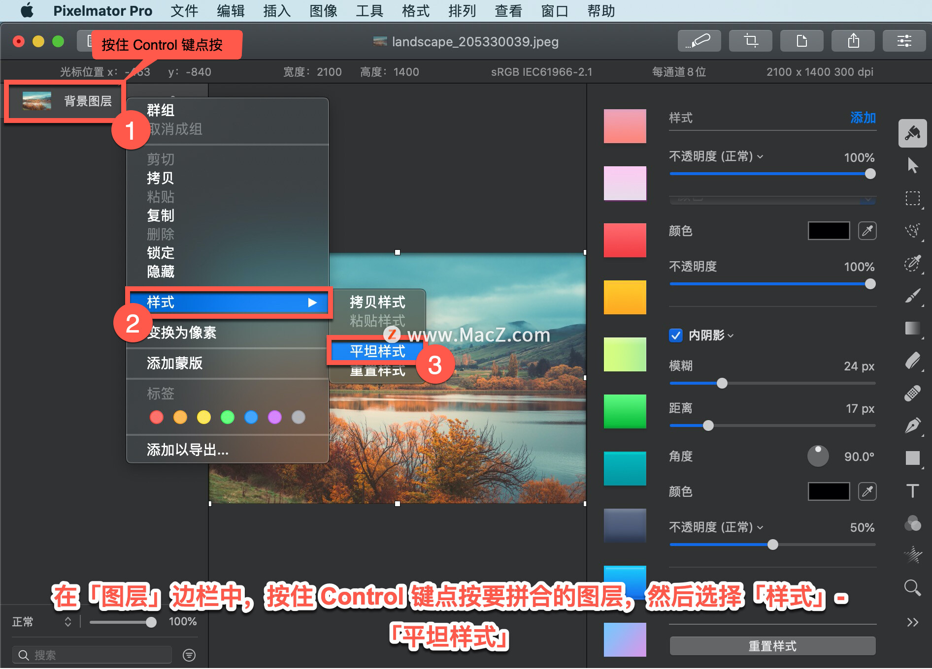 Pixelmator Pro?̡̳178 Pixelmator Pro?Ӧƽ̹ʽ