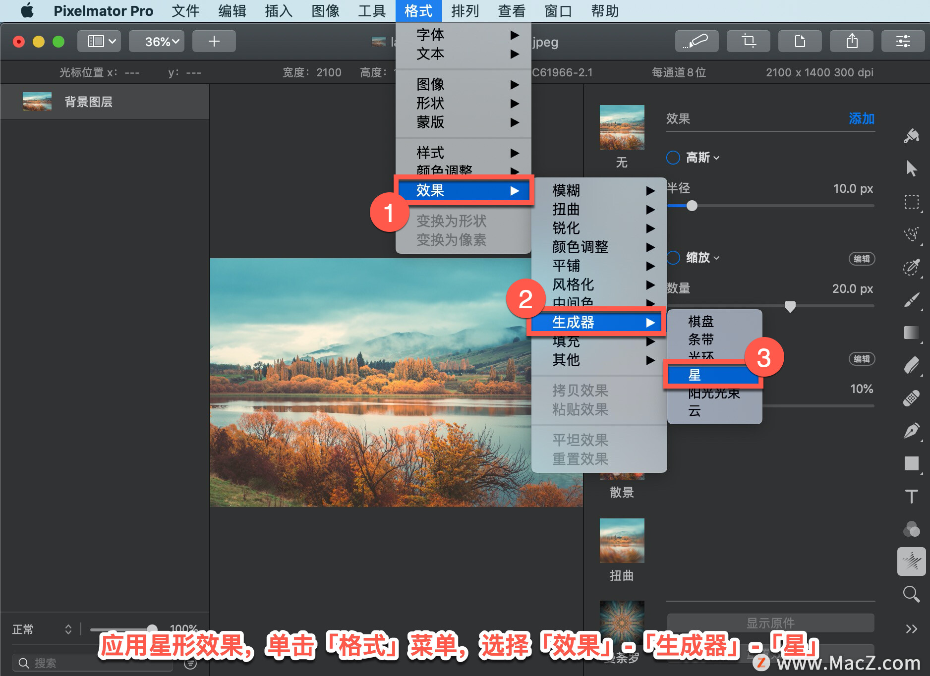 Pixelmator Pro?̡̳188 Pixelmator Pro?ӦЧ