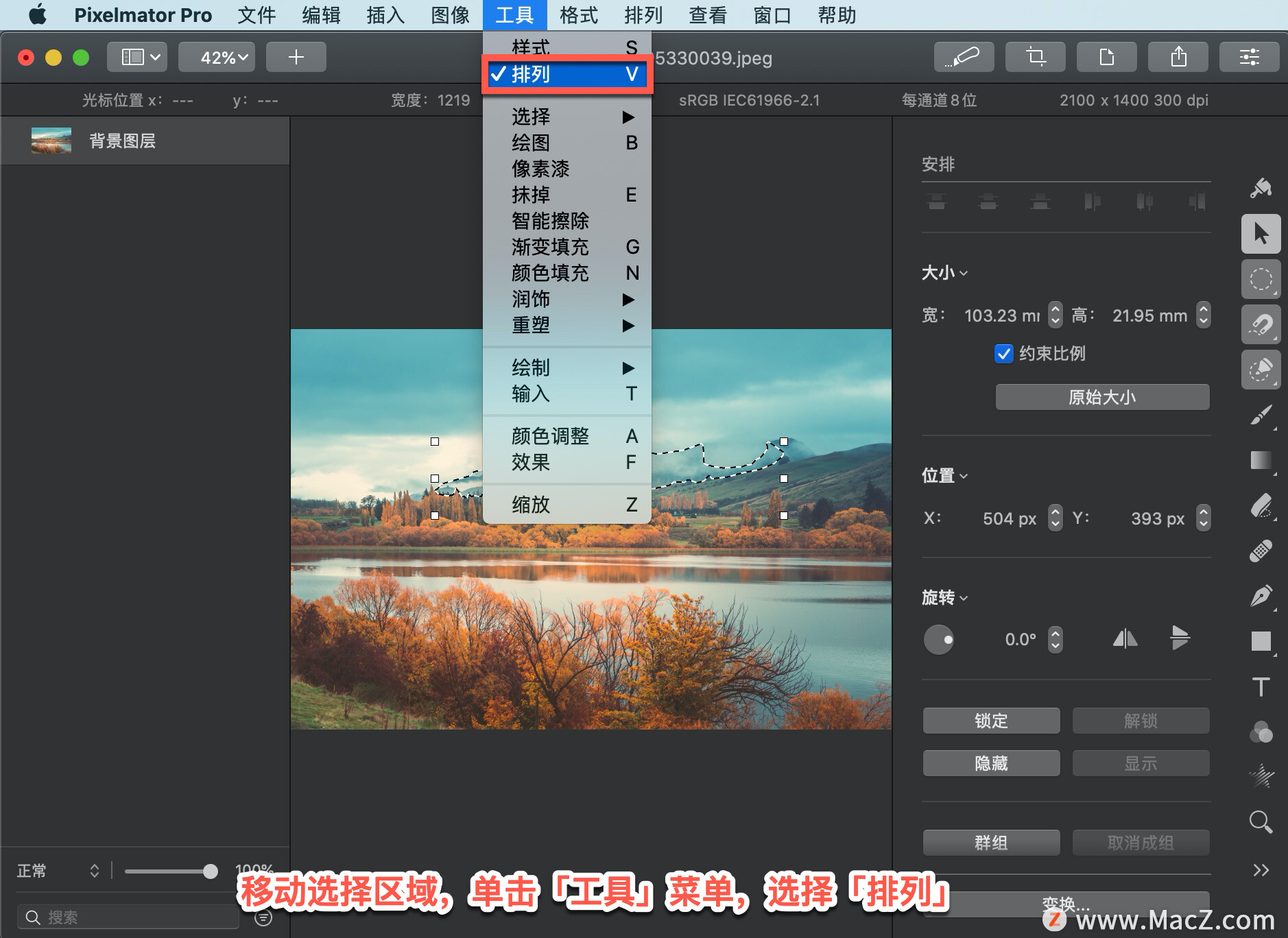 Pixelmator Pro?̡̳204 Pixelmator Pro?ƶѡ