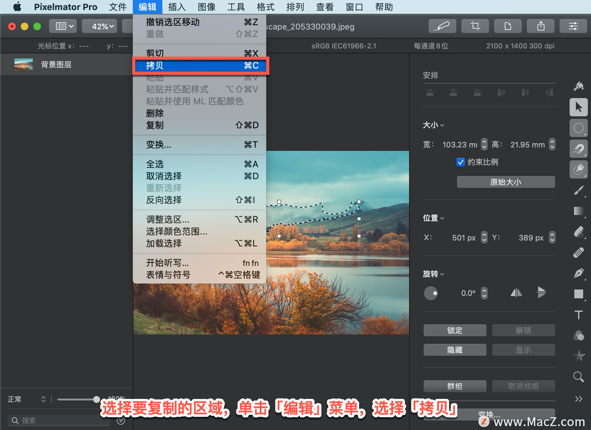 Pixelmator Pro?̡̳204 Pixelmator Pro?ƶѡ