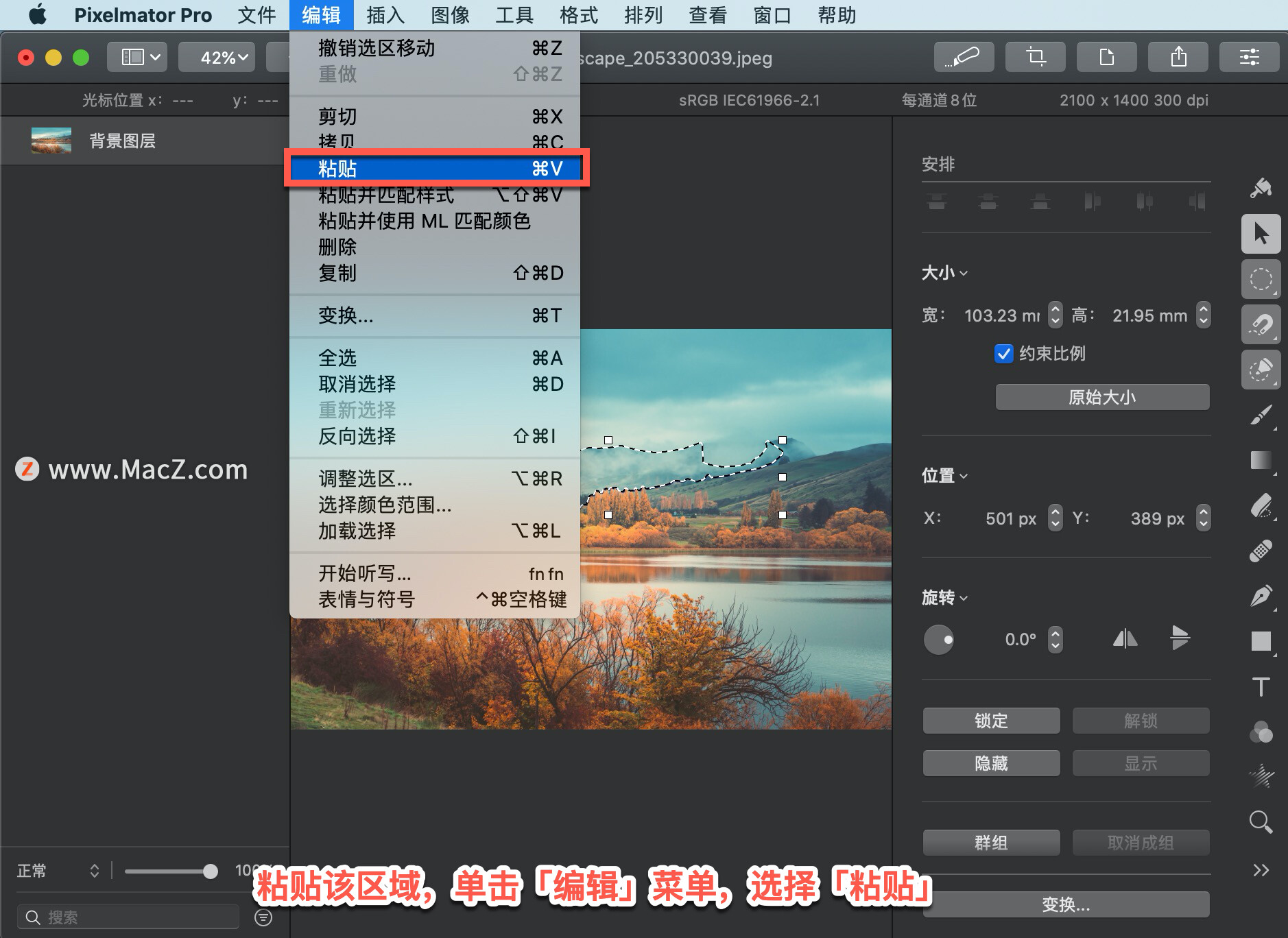 Pixelmator Pro?̡̳204 Pixelmator Pro?ƶѡ