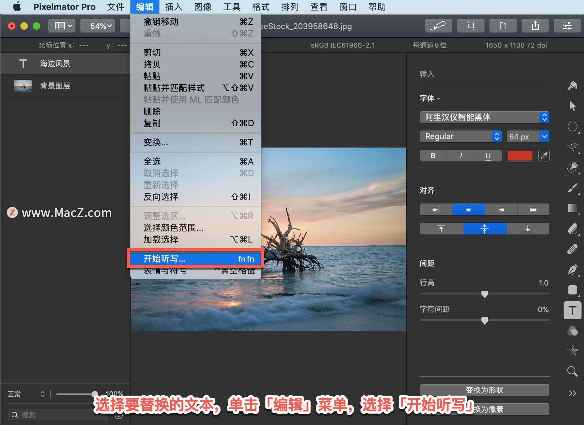 Pixelmator Pro?̡̳212 Pixelmator Pro?ʹдı