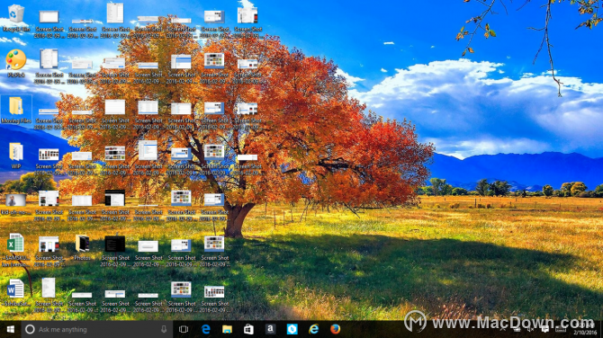 νMacļƶWindows PC