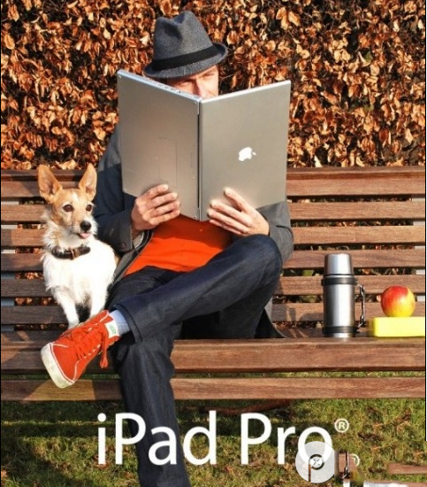 ipad proô ipad proĻж ipad proĻߴ