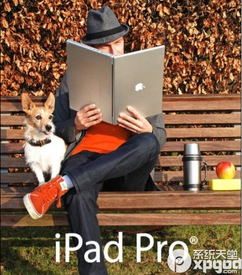 ipad proĻߴж?