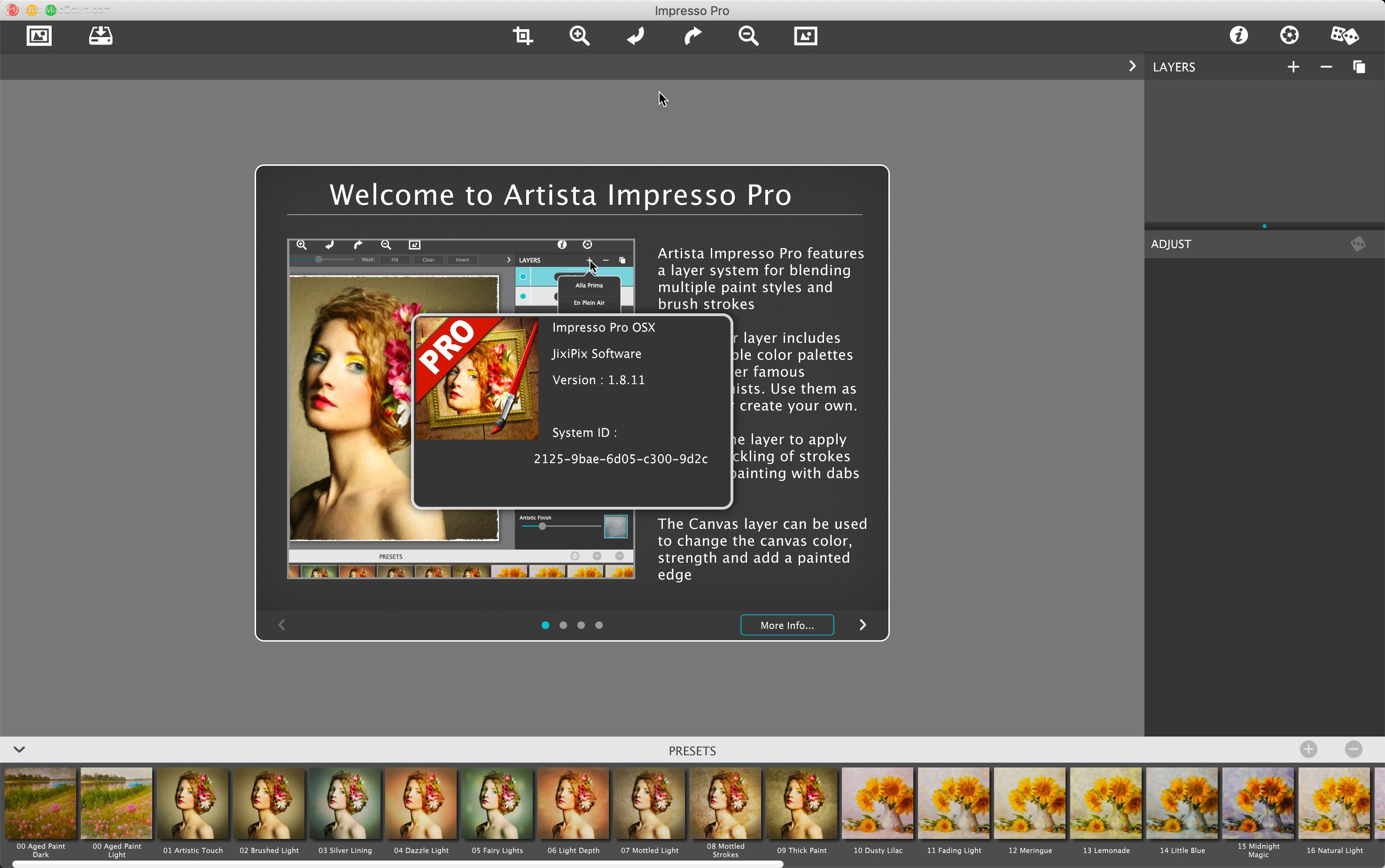 ʹJixiPix Artista Impresso Proǩ㣿