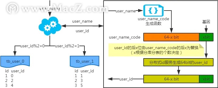 MySQL˾÷ֱֿܣ