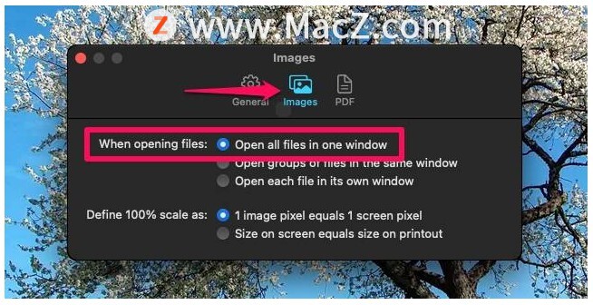  Mac Ͻ WebP ͼתΪ JPG