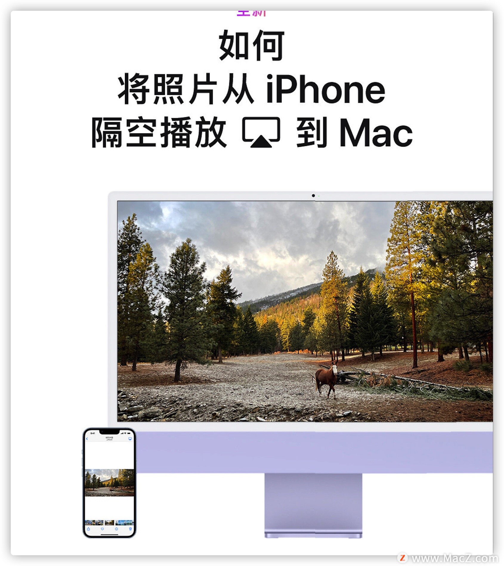  macOS Montereyϣʹøղŵ Mac