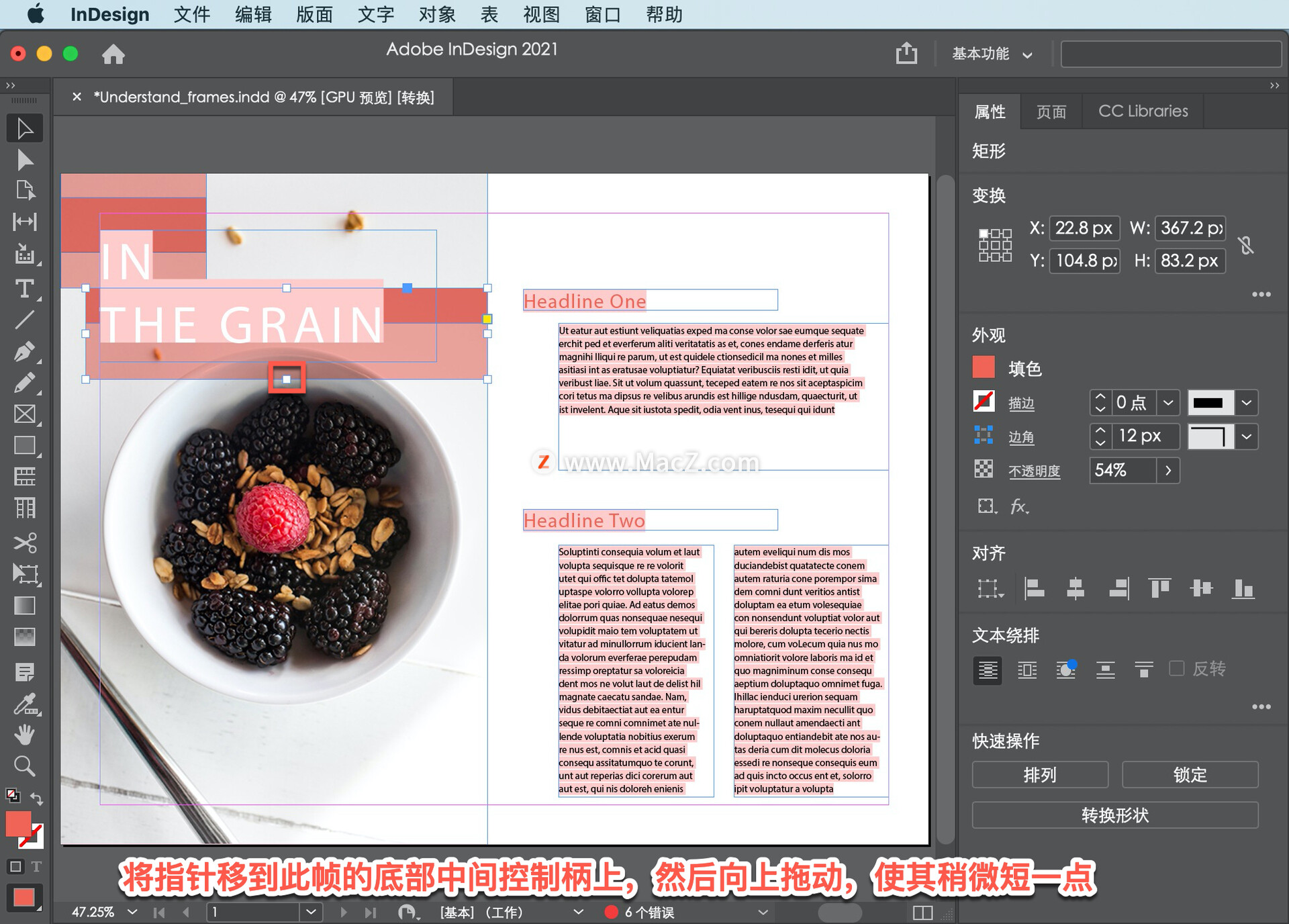 InDesign ̡̳5 InDesign ʹõĲͬ͵Ŀܣ