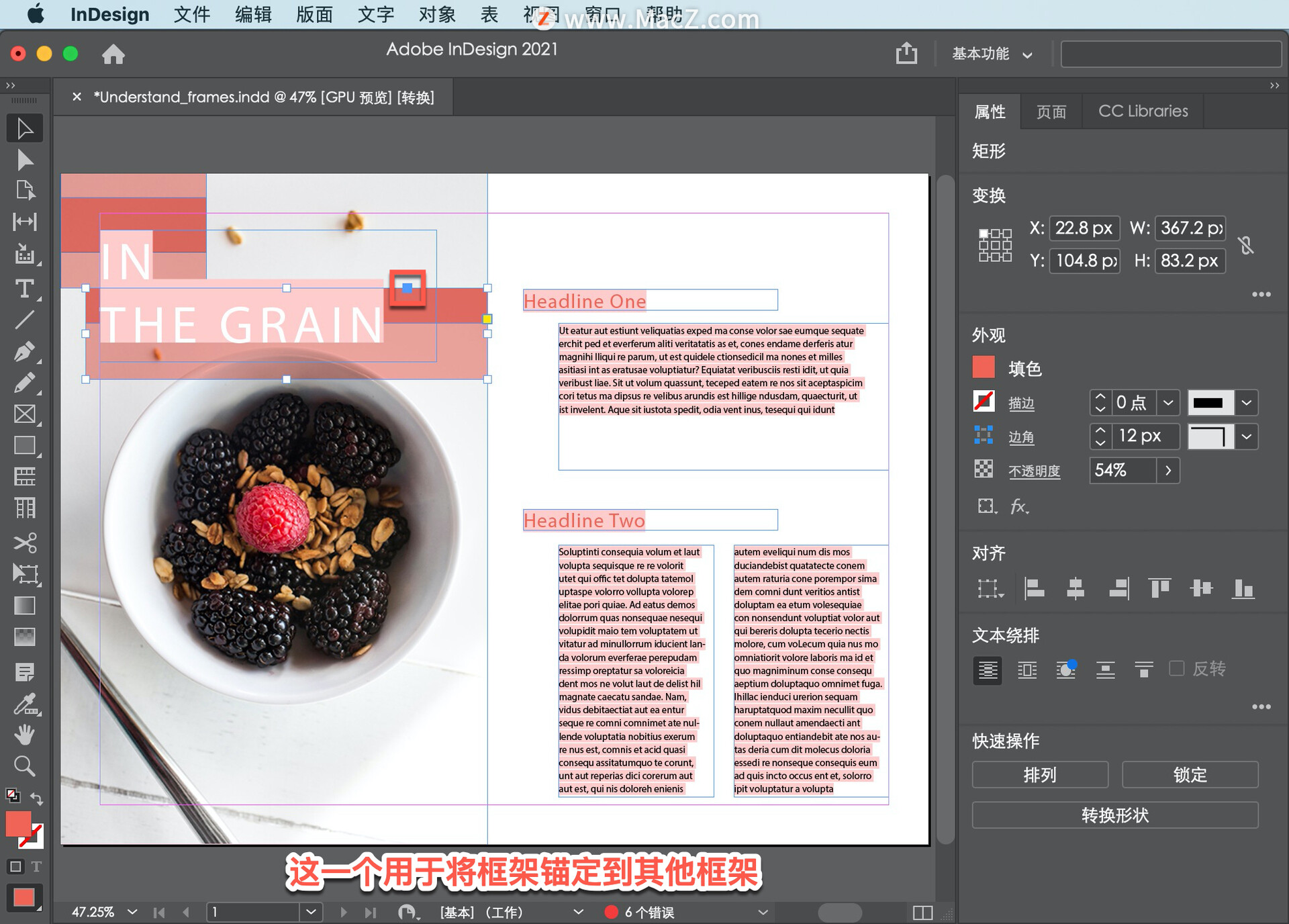 InDesign ̡̳5 InDesign ʹõĲͬ͵Ŀܣ