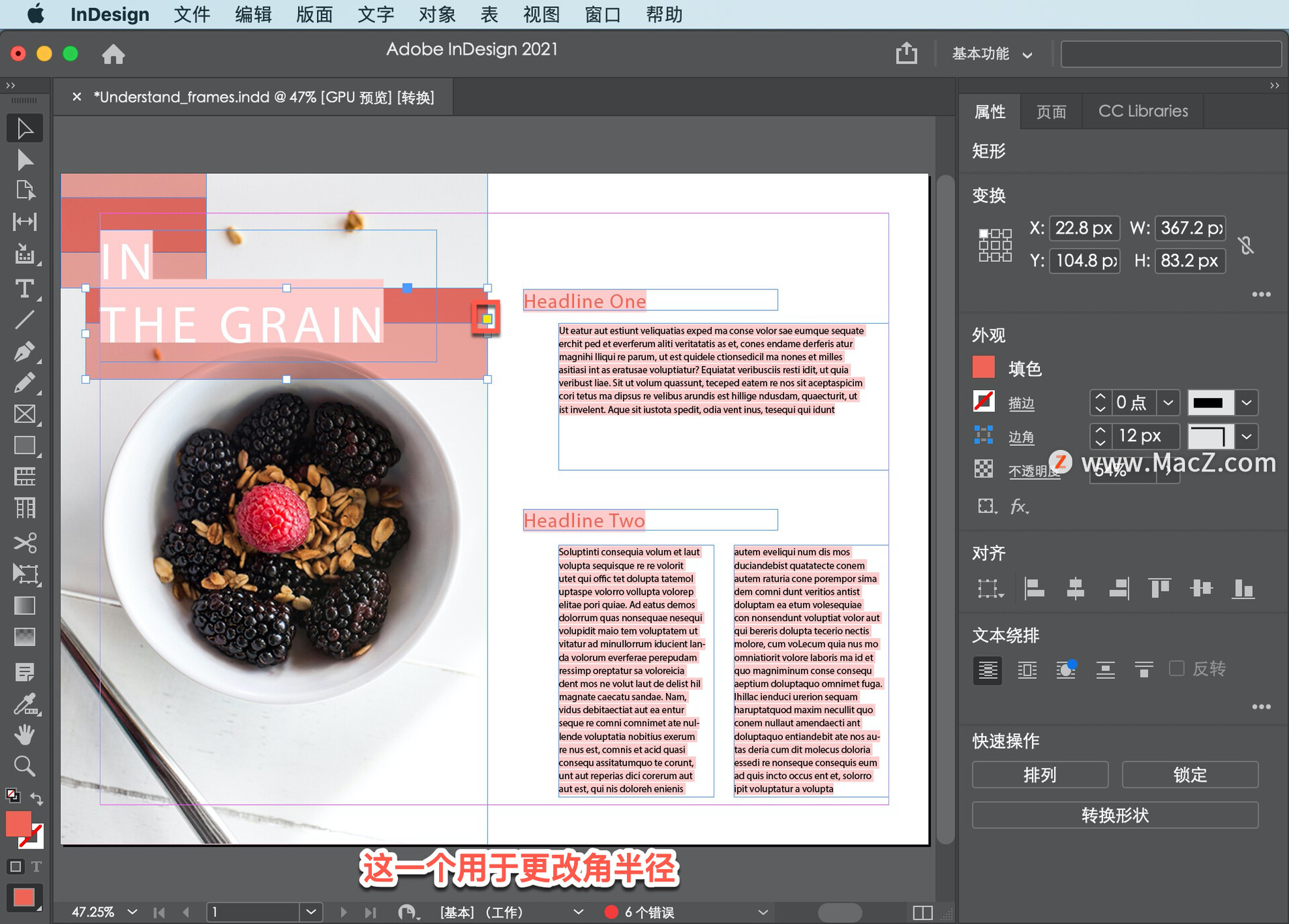 InDesign ̡̳5 InDesign ʹõĲͬ͵Ŀܣ