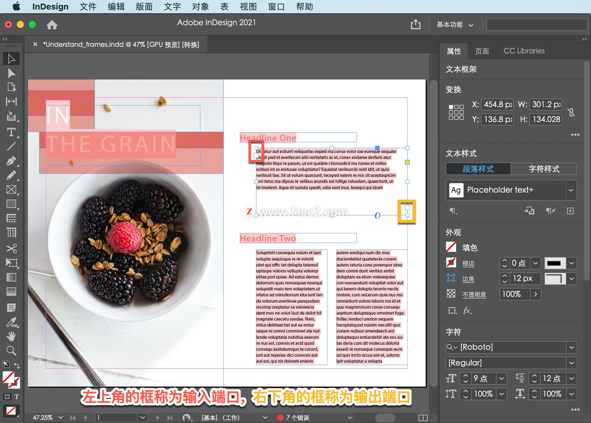 InDesign ̡̳5 InDesign ʹõĲͬ͵Ŀܣ