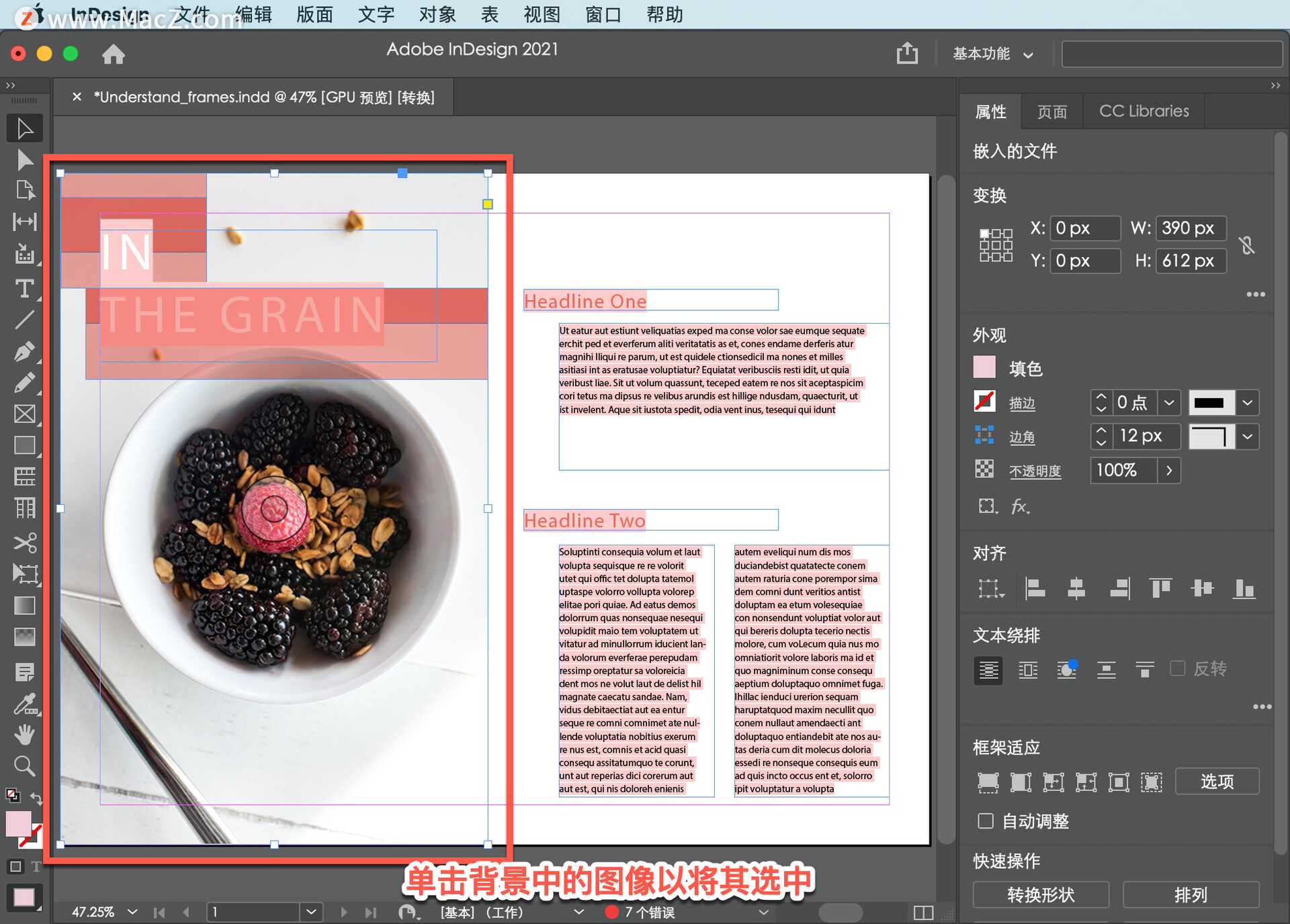 InDesign ̡̳5 InDesign ʹõĲͬ͵Ŀܣ