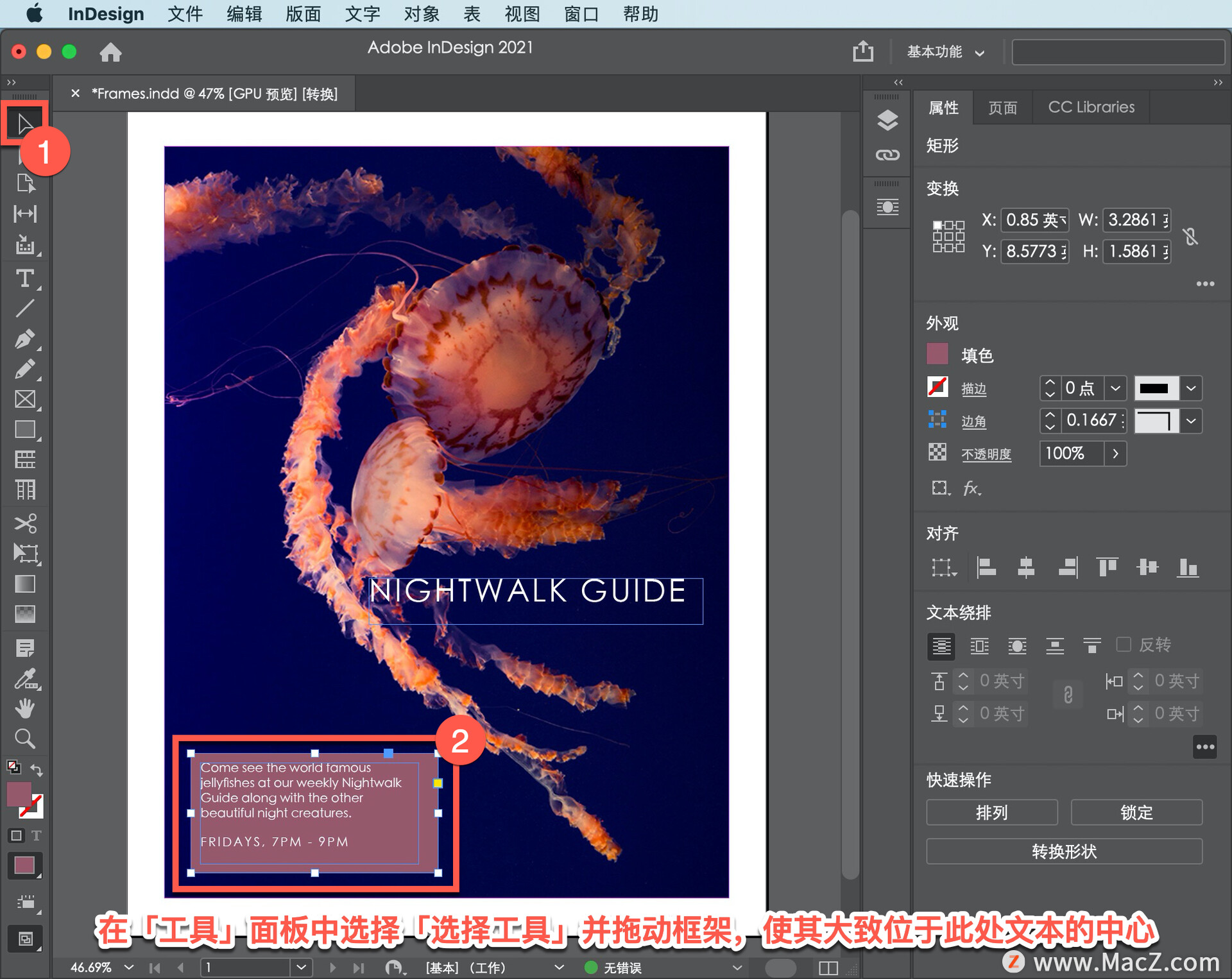 InDesign ̡̳21δͱ༭ͼԪصĿܣ