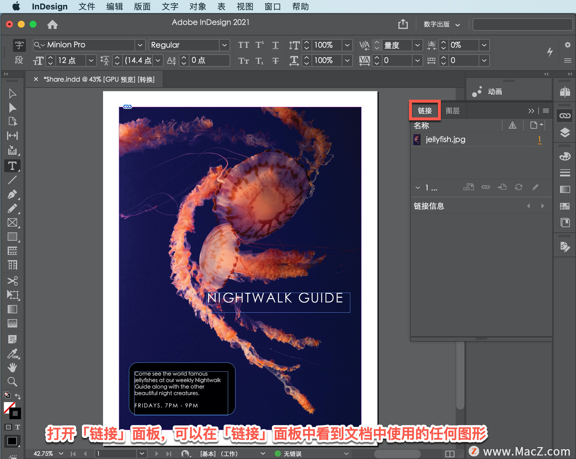 InDesign ̡̳35ιinDesignļ