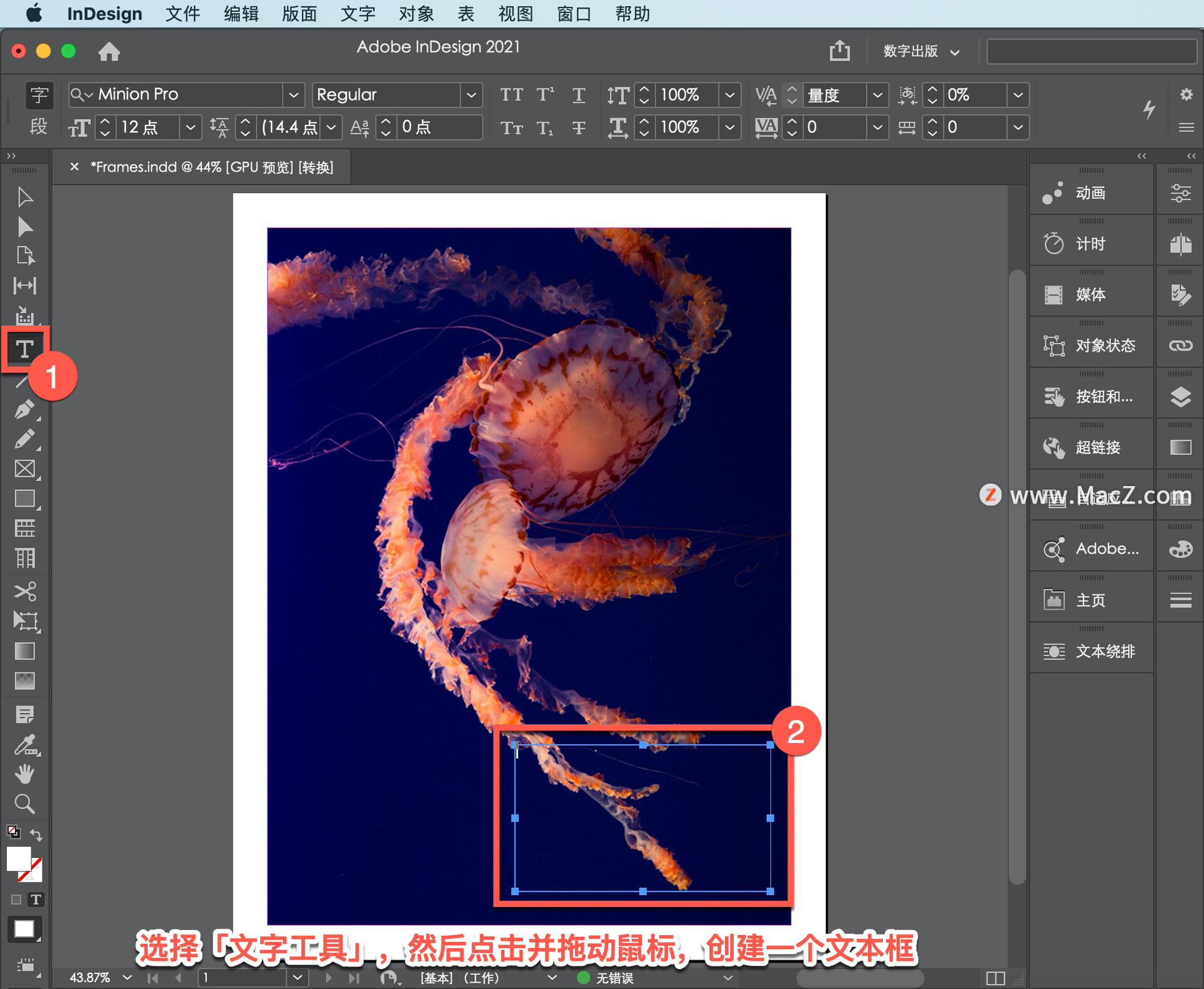 InDesign ̡̳57δıע