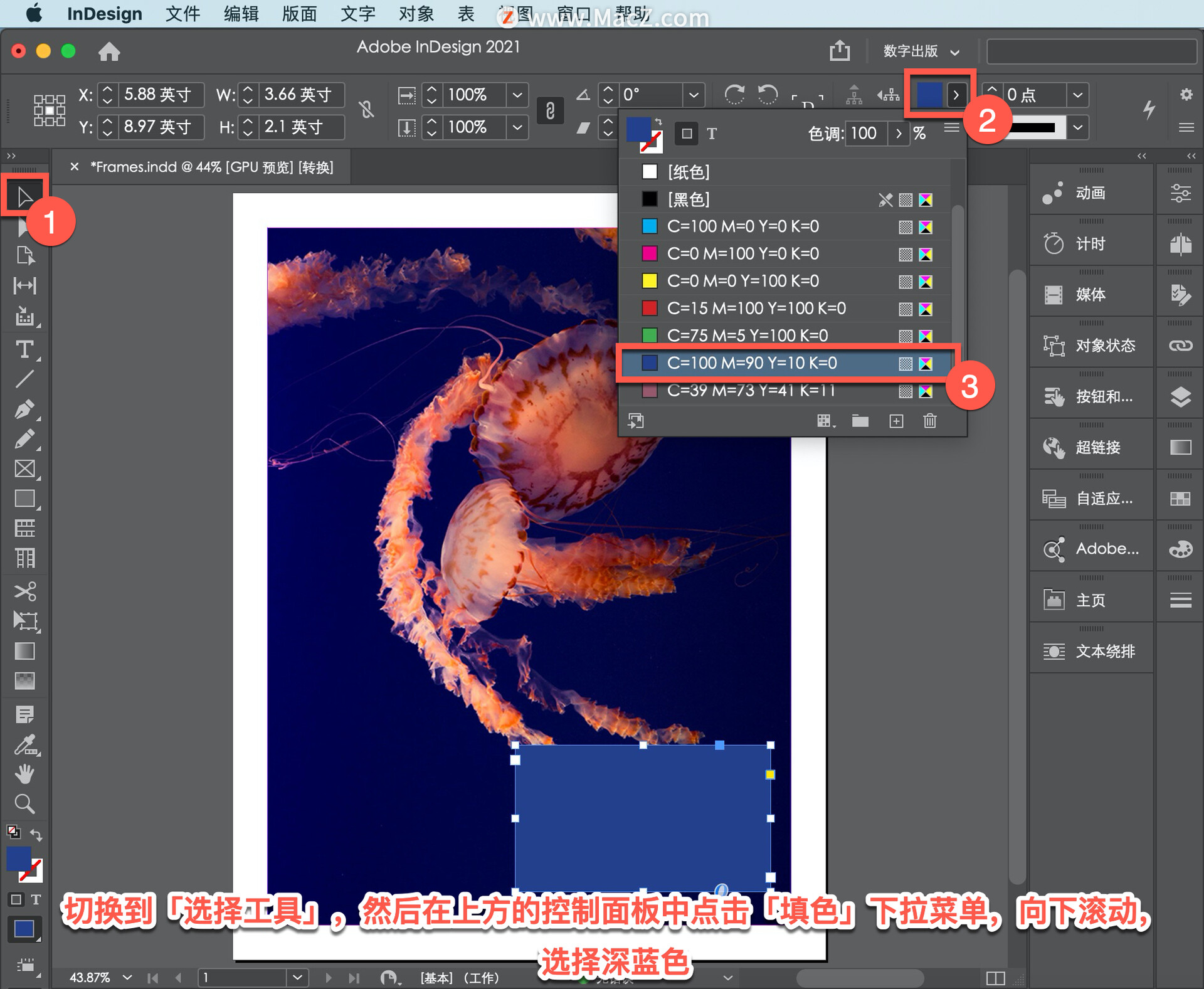 InDesign ̡̳57δıע