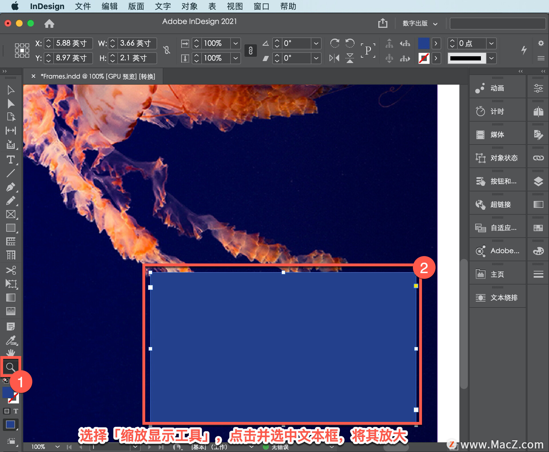 InDesign ̡̳57δıע