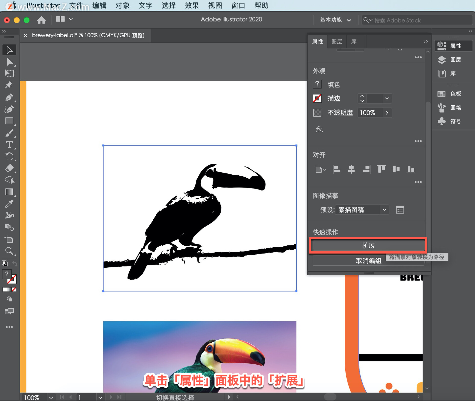 Illustrator ̡̳65 Illustrator дǩ