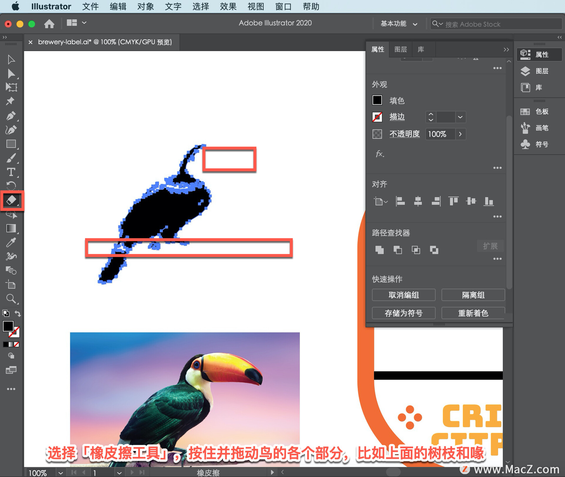 Illustrator ̡̳65 Illustrator дǩ