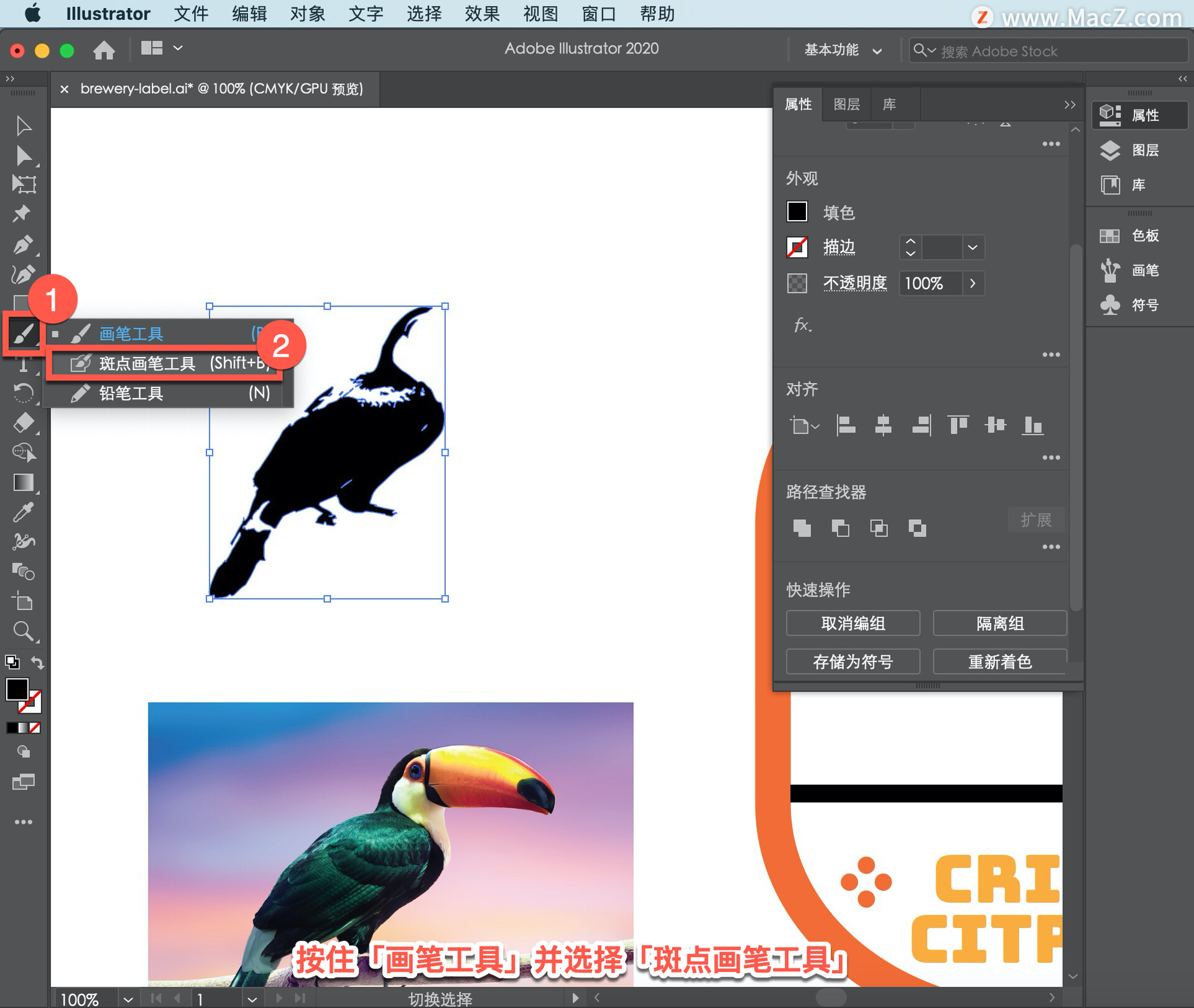 Illustrator ̡̳65 Illustrator дǩ