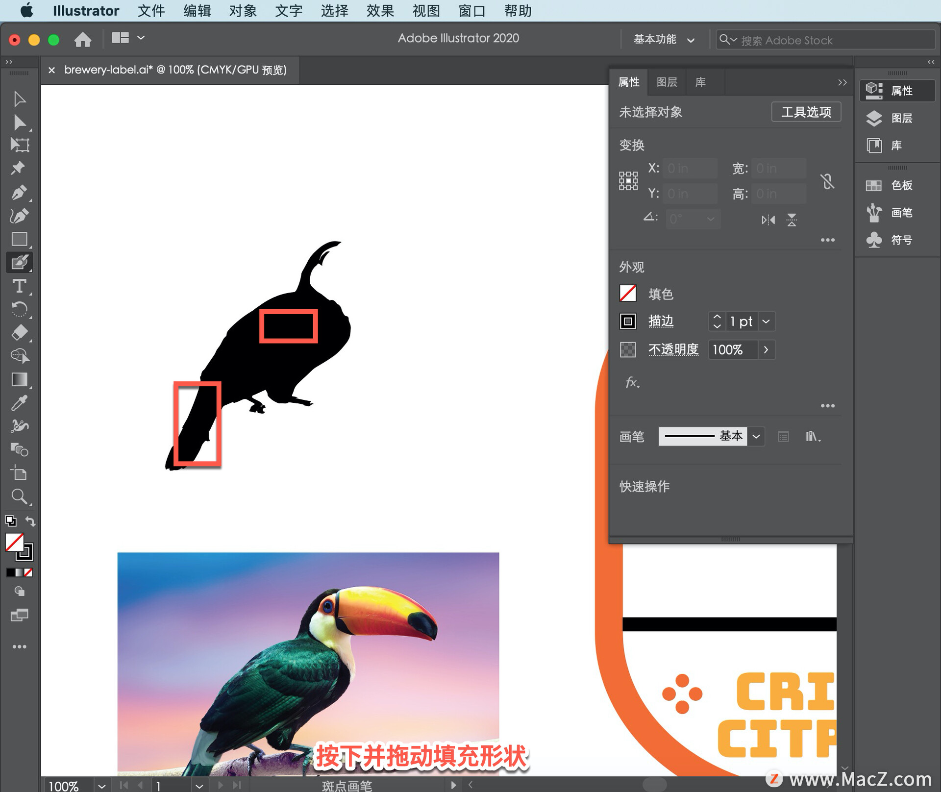 Illustrator ̡̳65 Illustrator дǩ