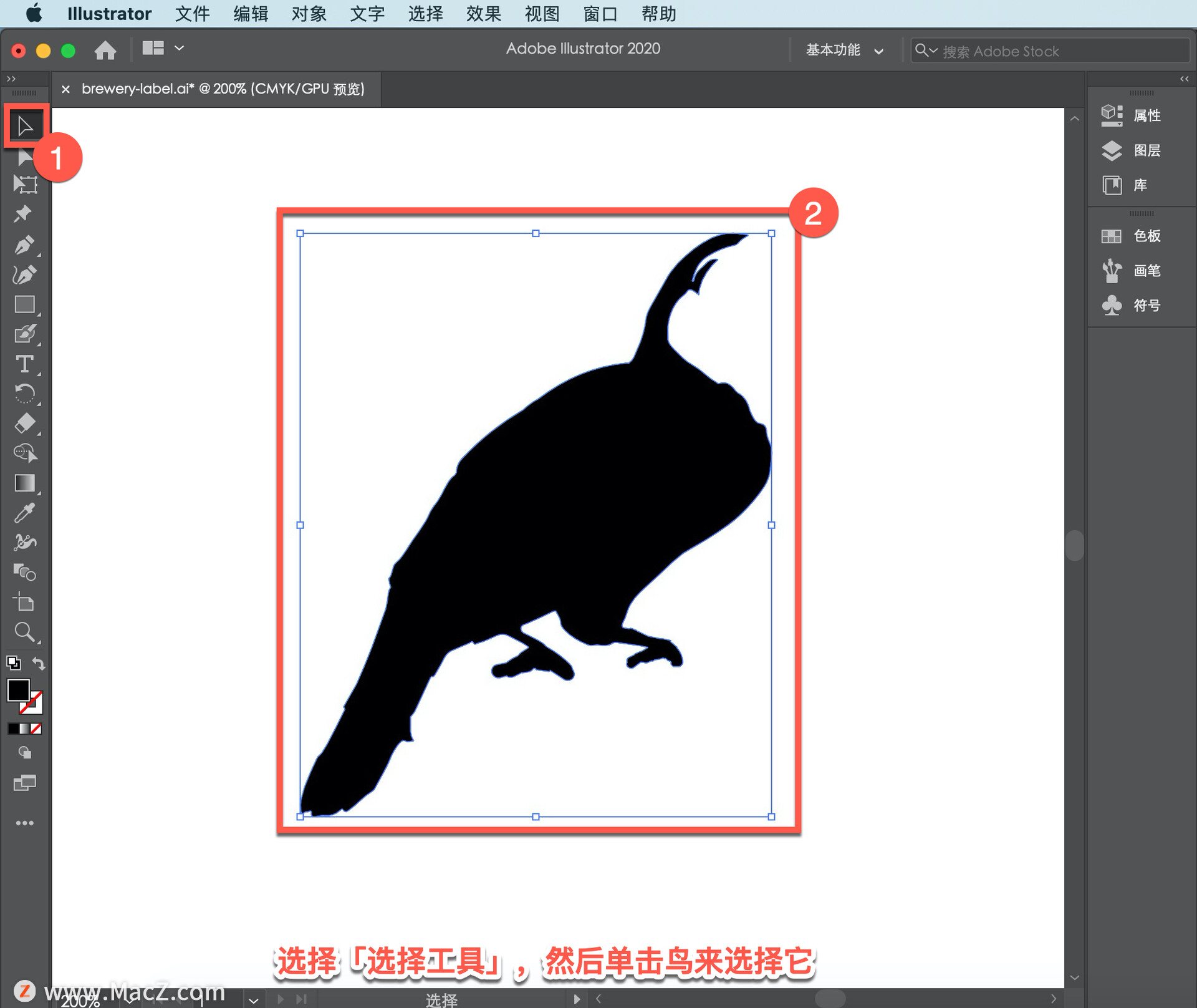 Illustrator ̡̳65 Illustrator дǩ