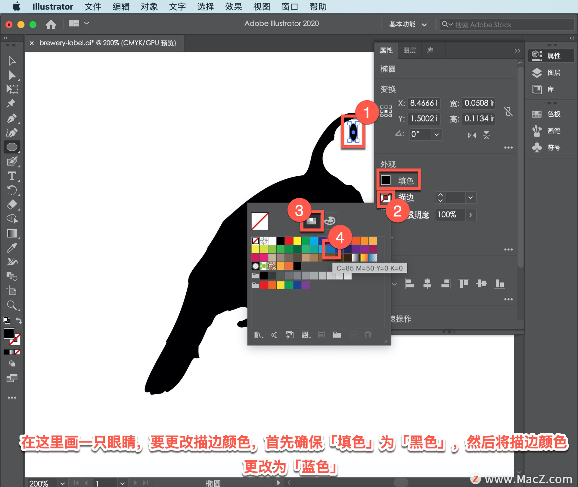 Illustrator ̡̳65 Illustrator дǩ