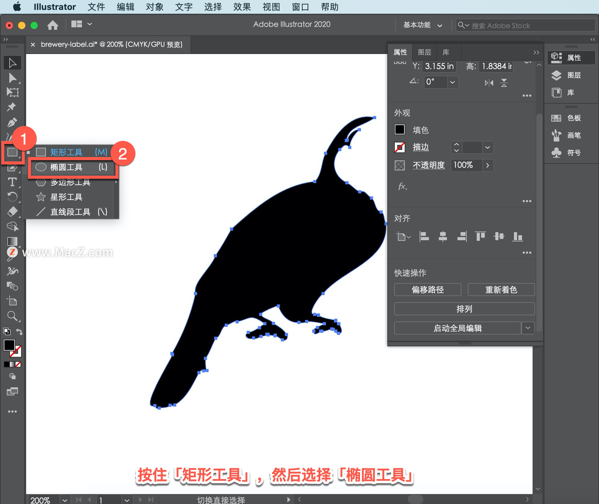 Illustrator ̡̳65 Illustrator дǩ