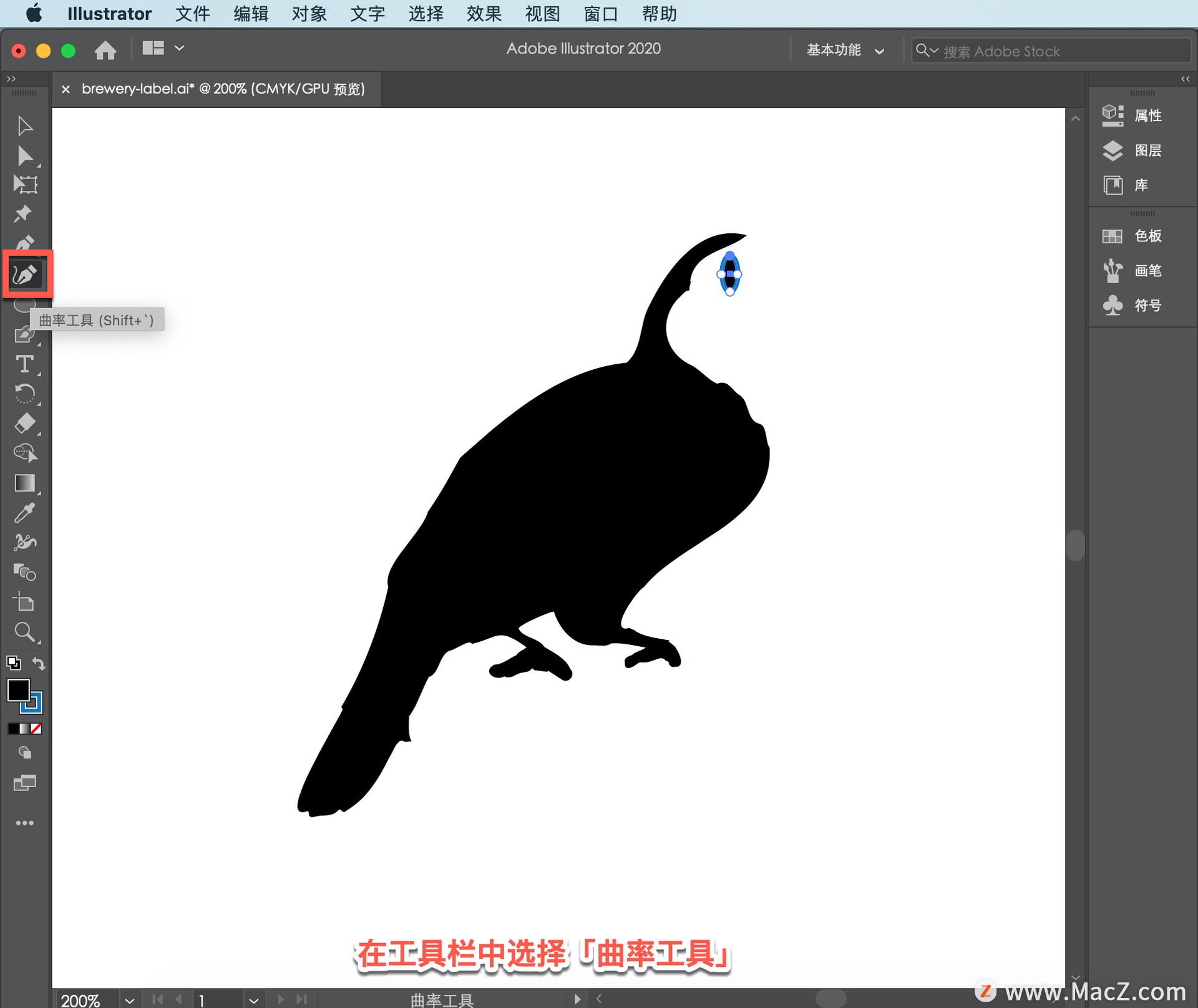 Illustrator ̡̳65 Illustrator дǩ