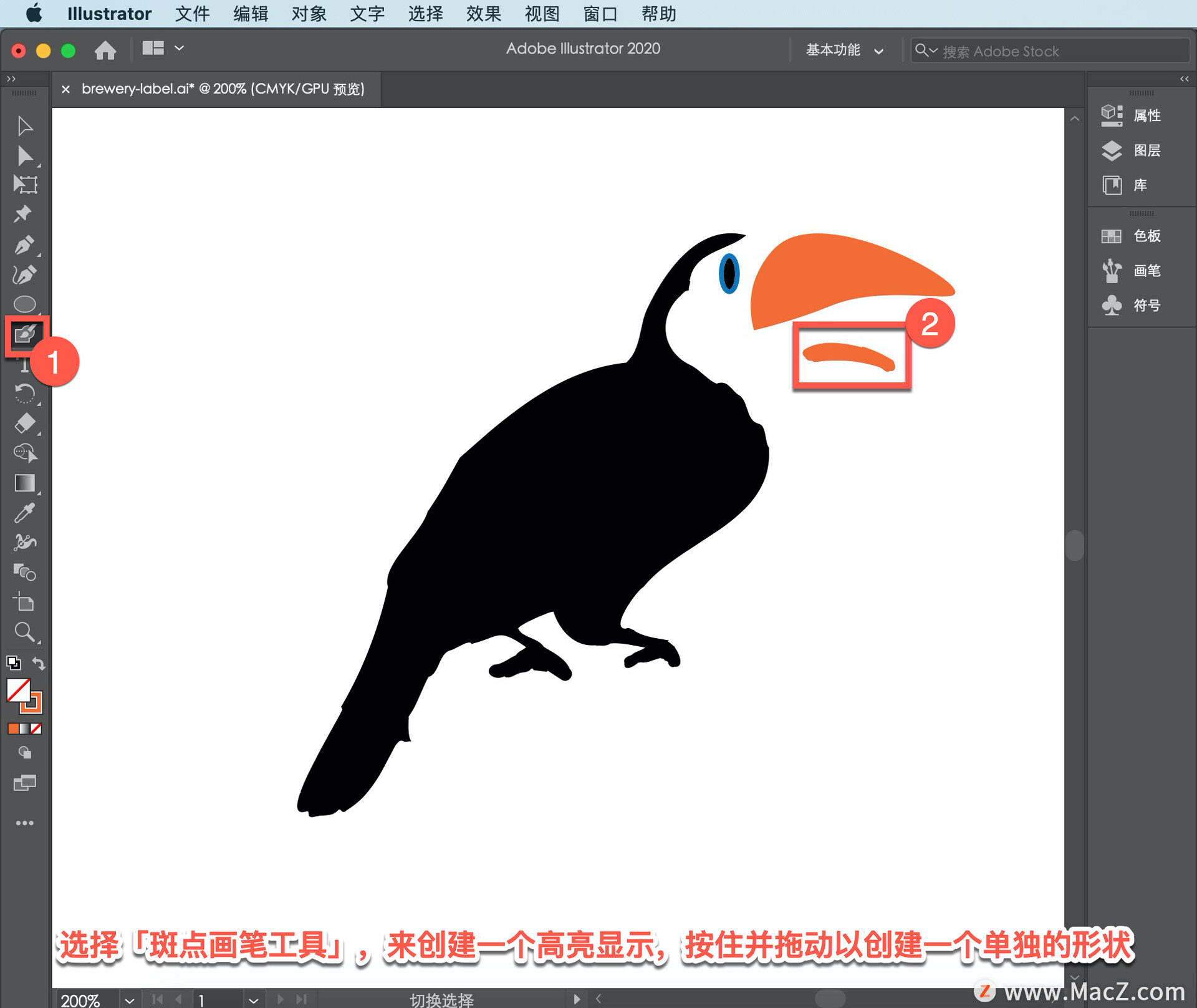 Illustrator ̡̳65 Illustrator дǩ