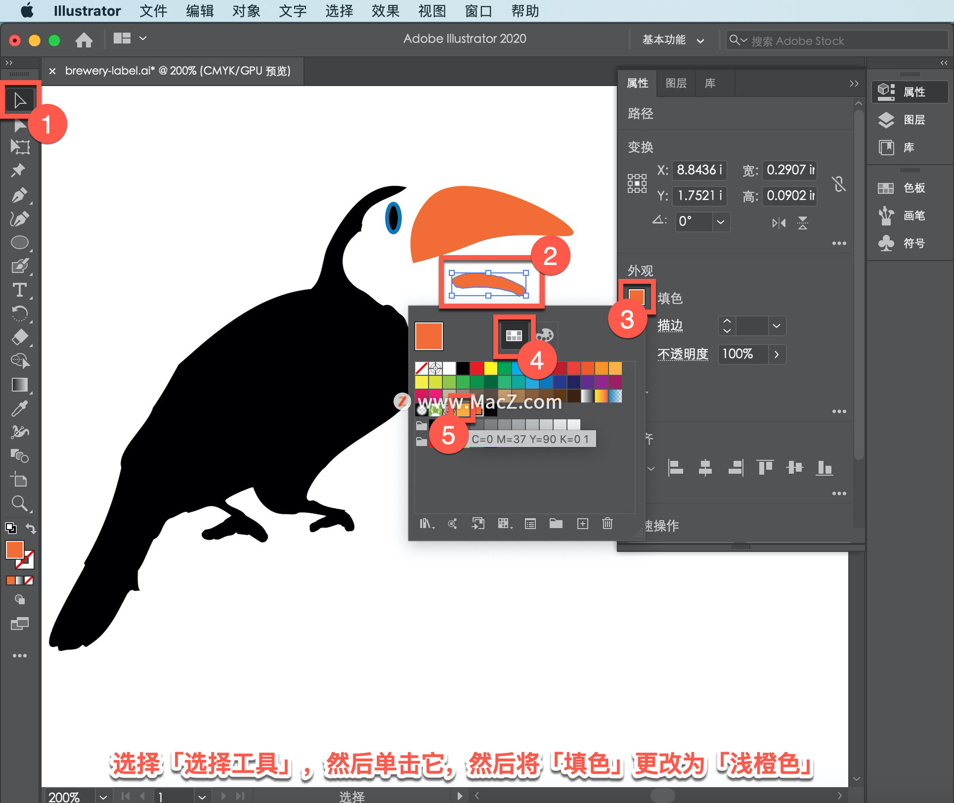 Illustrator ̡̳65 Illustrator дǩ