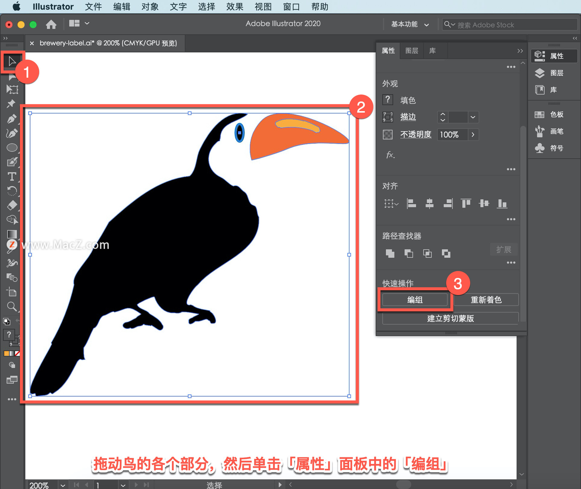 Illustrator ̡̳65 Illustrator дǩ