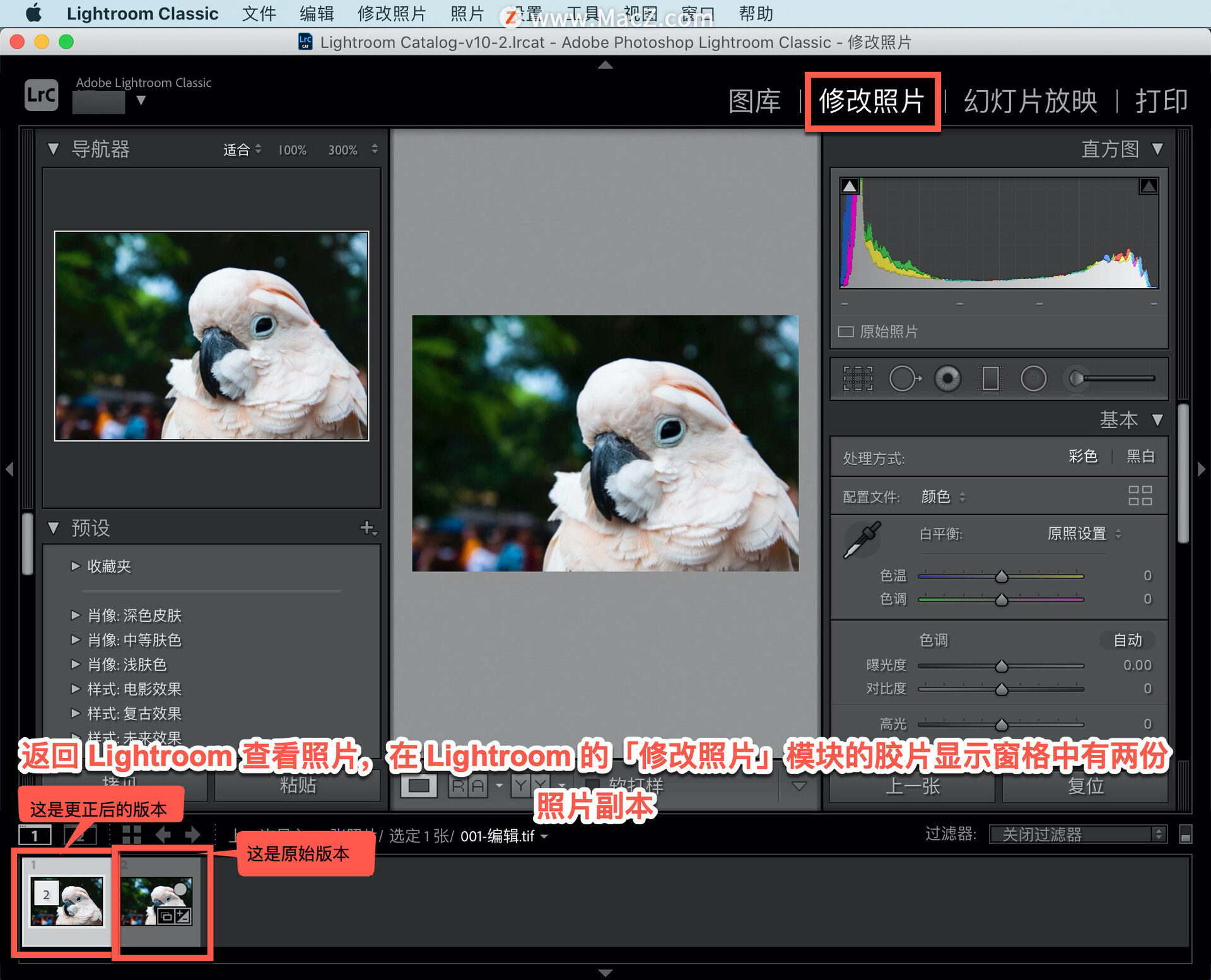 Lightroom Classic ̡̳25νƬ Lightroom Ps Ps ΪƬӦ˾