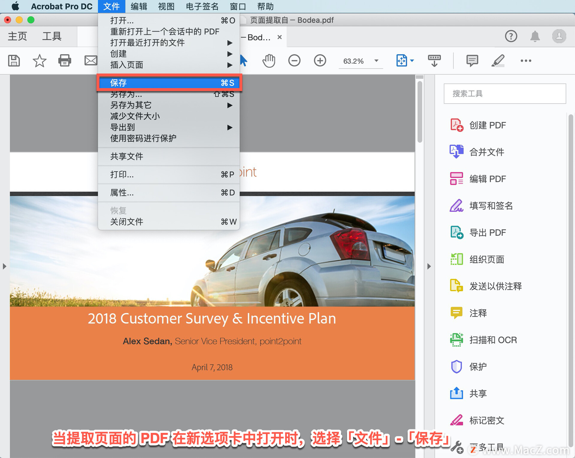 Acrobat Pro DC ̡̳17δ PDF ȡҳ棿